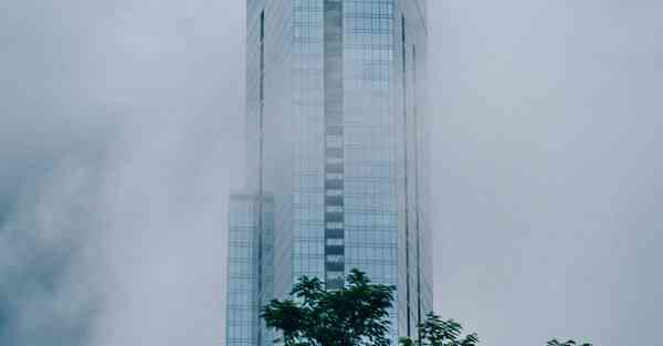 Ⅴpn软件